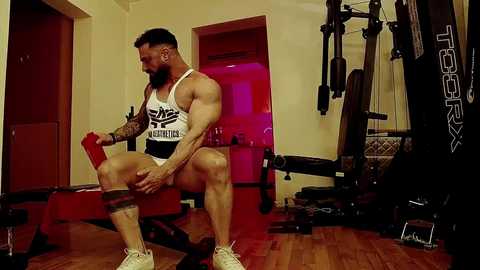 adonis_msc free recording from 