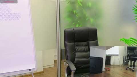 babesgowild free recording from 2025-04-23 07:37:00