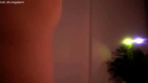 shiningstarrr free recording from 2025-04-23 05:33:00