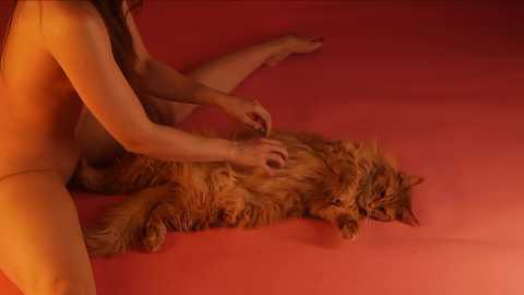 _meganmeow_ free recording from 