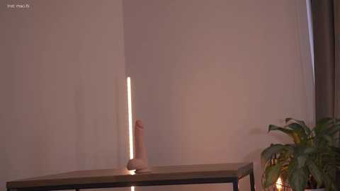 alissa_wxw free recording from 