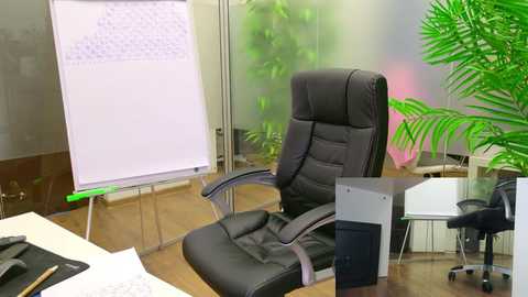 babesgowild free recording from 2025-04-24 07:10:00