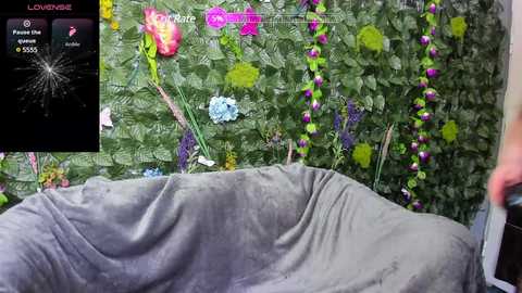 baby_aryaa free recording from 