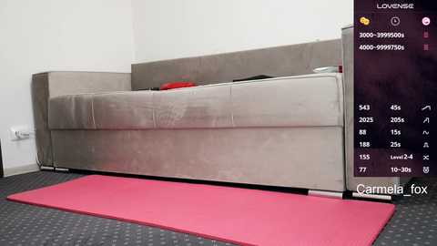 carmela_fox free recording from 2025-04-24 17:18:00