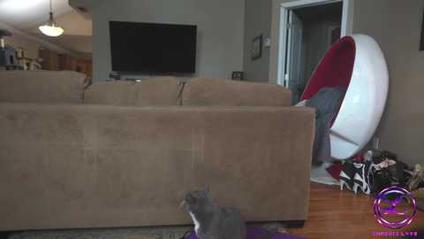 chroniclove free recording from 2025-04-24 22:31:00