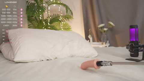 karollovea free recording from 2025-04-24 13:16:00