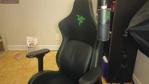 alexa_dream free recording from 2025-04-25 01:45:00