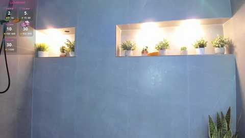 arisweett free recording from 