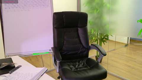 babesgowild free recording from 2025-04-25 08:09:00