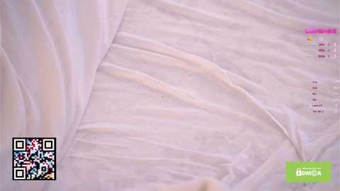 islandladies free recording from 2025-04-25 08:48:00