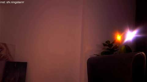 shiningstarrr free recording from 2025-04-25 00:55:00