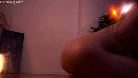 shiningstarrr free recording from 