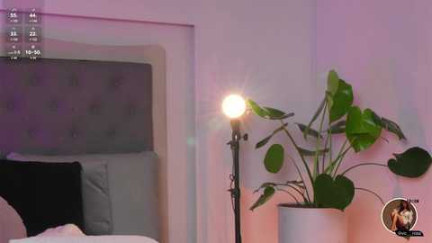 victoria__rossi free recording from 2025-04-25 16:51:00