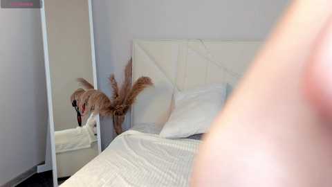 ameliia_castro free recording from 2025-04-26 08:19:00