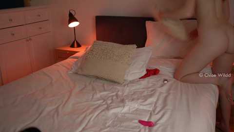 chloewildd free recording from 