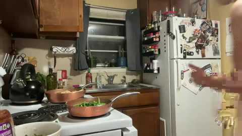 leobf free recording from 2025-12-08 00:13:00