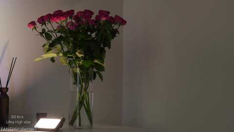 ms_seductive free recording from 