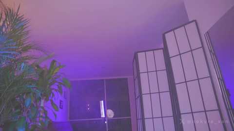 nekyra_san free recording from 2025-04-26 05:01:00