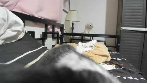 xdreamangel free recording from 