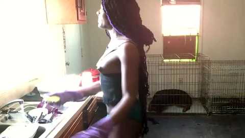 cerouniverse free recording from 