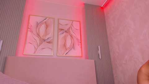 amalia_3 free recording from 