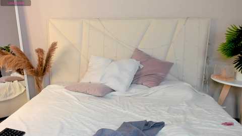 ameliia_castro free recording from 2025-04-29 08:42:00