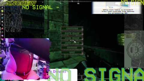 anchew free recording from 