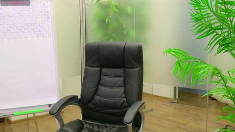 babesgowild free recording from 2025-04-29 07:25:00