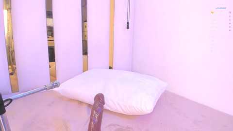 cherylloving_ free recording from 2025-04-29 14:58:00