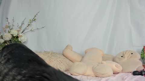 fit_american_girl free recording from 2025-04-29 22:10:00