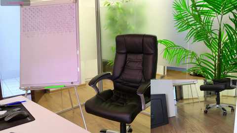 babesgowild free recording from 2025-04-30 06:56:00