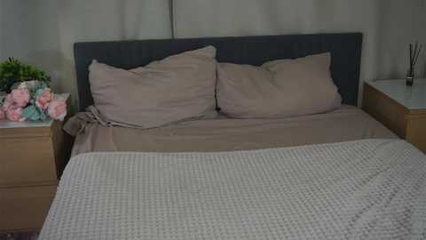 brimladamos free recording from 