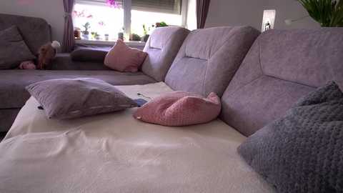 innocentemmy free recording from 2025-04-30 14:45:00