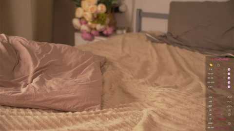 lilmiia free recording from 