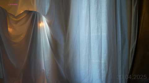 passionatepainter free recording from 2025-04-30 08:35:00