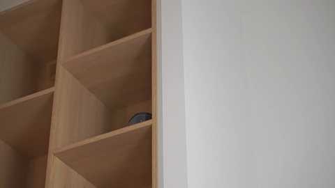 sonya_kelsey free recording from 