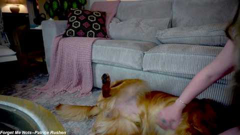 x_lily_x free recording from 