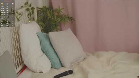 little_anitta free recording from 2025-05-02 00:48:00