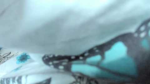 milkykandy free recording from 2025-05-02 15:34:00