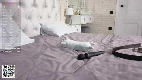 ruta_meow free recording from 