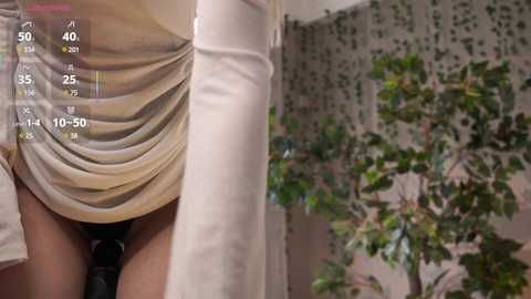 darlinechapel free recording from 2025-05-03 14:33:00