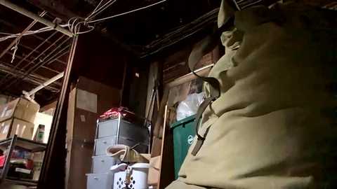 intensejacinto711 free recording from 