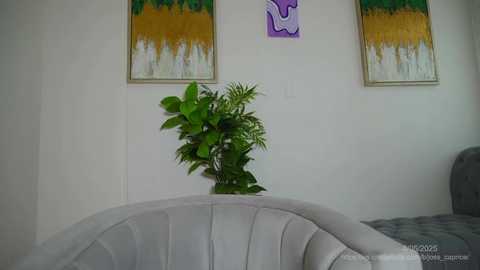 joss_caprice free recording from 2025-05-04 17:34:00