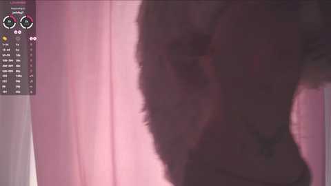 little_anitta free recording from 2025-05-04 05:10:00