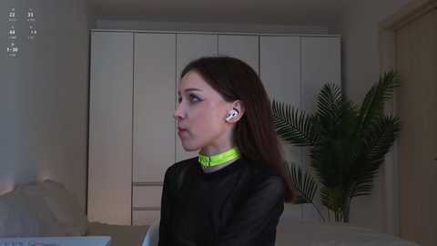 tadammary free recording from 2025-05-04 09:25:00