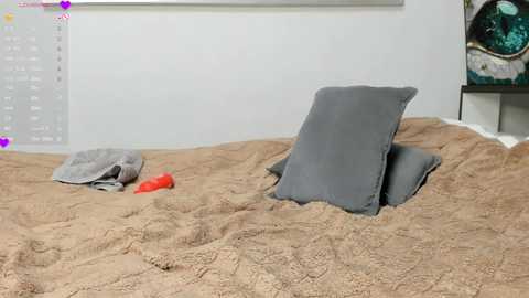 anny_leps free recording from 2025-05-05 16:14:00