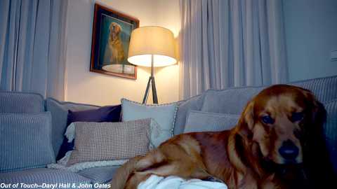 x_lily_x free recording from 