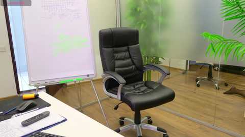 babesgowild free recording from 2025-05-08 08:27:00