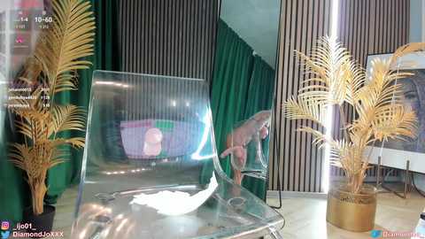 diamond_jo_ free recording from 2025-05-08 01:45:00