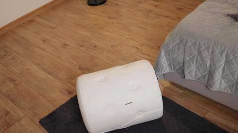 ella_twinkle free recording from 2025-05-08 23:05:00